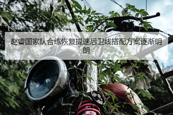 赵睿国家队合练恢复提速后卫线搭配方案逐渐明朗